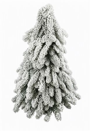 Nobilisboom Snow 50cm