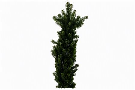 Guirlande Nordman 100cm