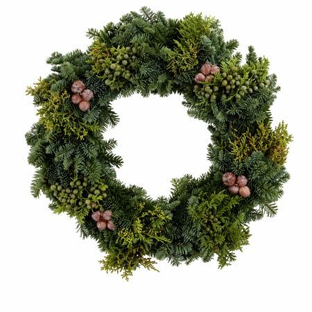 Wr Advent Nobilis 50cm