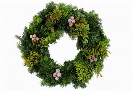 Wr Advent Nordmann 50cm