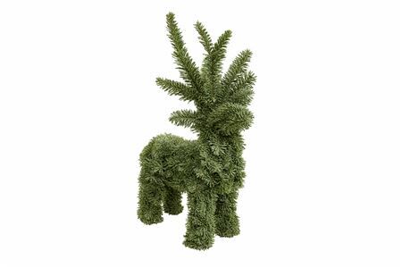 Nobilis Rendier 60cm