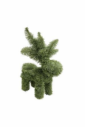 Nobilis Rendier 50cm
