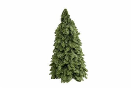 Nobilisboom Rond 250cm
