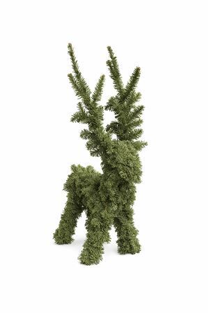 Nobilis Rendier 100cm