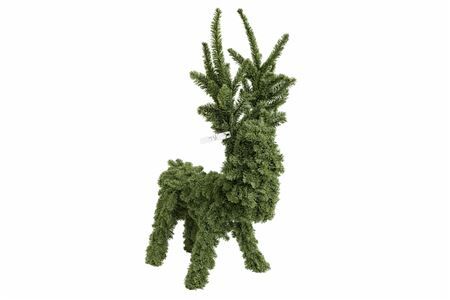 Nobilis Rendier 120cm