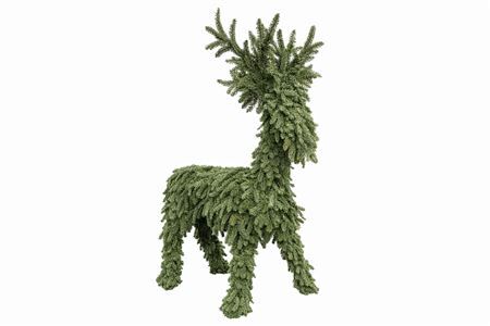 Nobilis Rendier 220cm