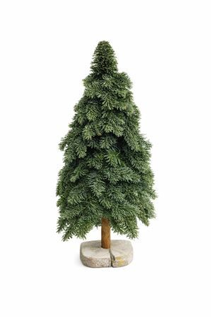 Nobilisboom Op Stam Wijd 65-70cm