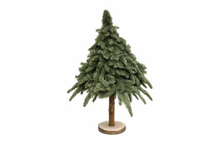 Nobilisboom Op Stam Wijd 90-95cm