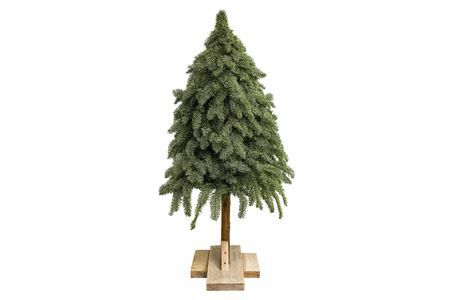 Nobilisboom Op Stam Wijd 130cm
