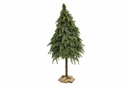 Nobilisboom Op Stam Wijd 175cm