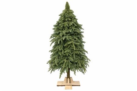 Nobilisboom Op Stam Wijd 210cm