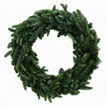 Wr Nobilis Half 60cm