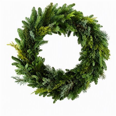 Wr Nobilis Mix Half 70cm