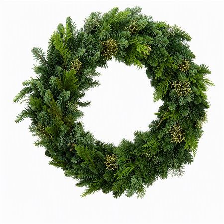 Wr Nobilis Mix Half 60cm
