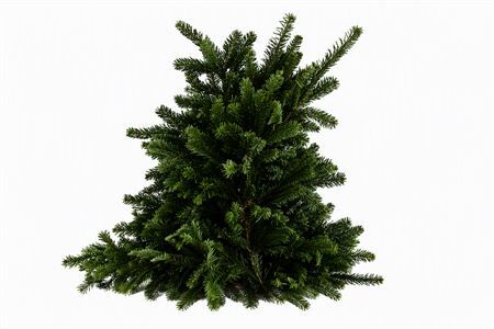 Nordman 5kg Bundle