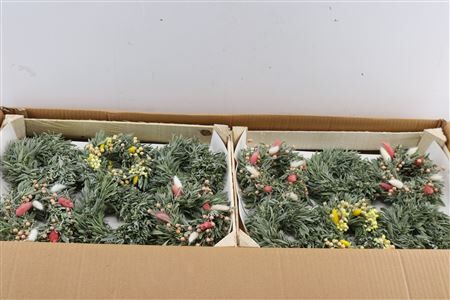 Wr Kruidenmix Mini De Luxe 12cm