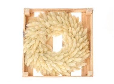 Wr Lagurus Bleached D30