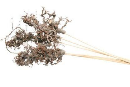 Bonsai Wood On Sitck 50cm Naturel