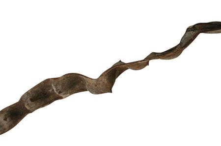 Cipo Escada 12+ L200cm