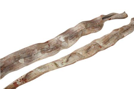 Cipo Escada 6-8 L200 Cm