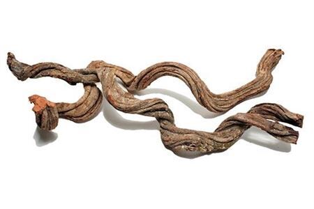 Cipo Rosca 100-120cm 6-7cm