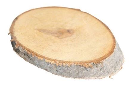 Birch Slice Oval Large Naturel