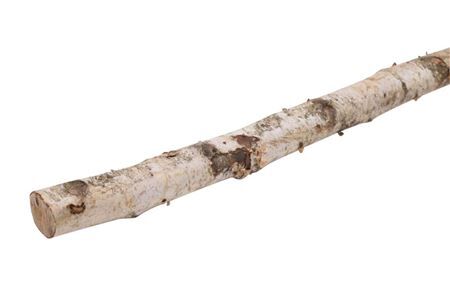 Birch Stem 4-6cm L150