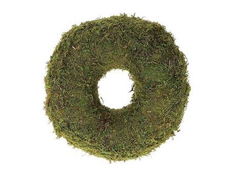 Wr Asia Moss Thick 24cm Green