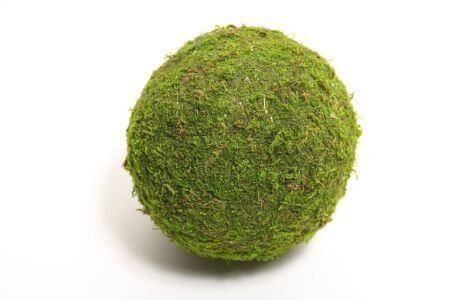 Ball Asia Moss 8cm Green