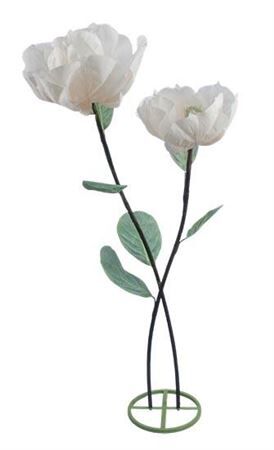 Stem Magnolia Double Stem L50w50h160