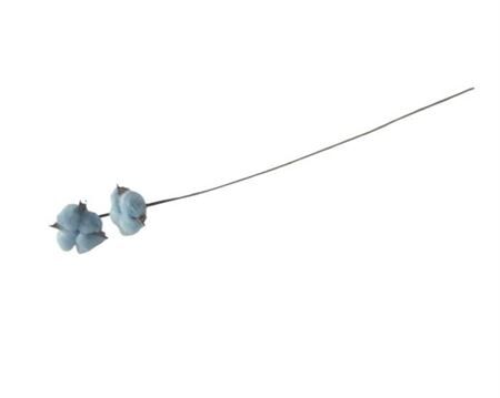 Stem Cotton 2 Heads L50 Light Blue