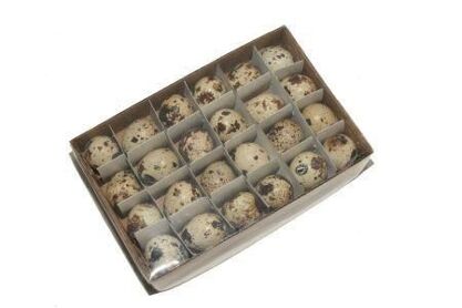 Egg Quail 24pcs