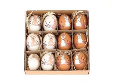 Egg Happy H5