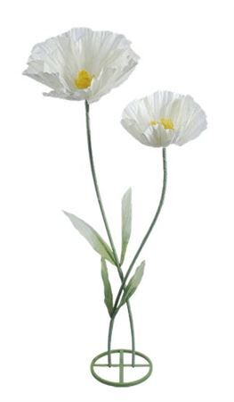 Stem Double Poppy H160d50