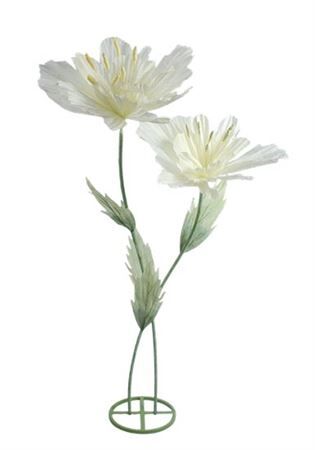 Stem Double Emperor H180d50