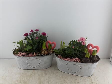 Arr (3) Zink Ovaal Wit Met Hart