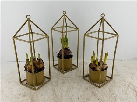 Arr (5) Gouden Metalen Huis