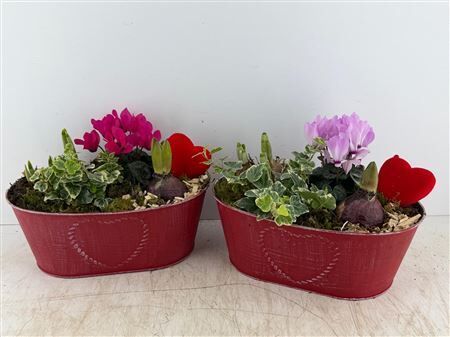 Arr (2) Zink Rood Ovaal