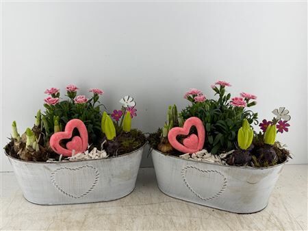 Arr (4) Zink Ovaal Wit Met Hart