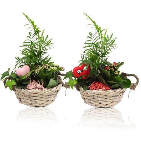 Arr Love Specials Mand Ovaal