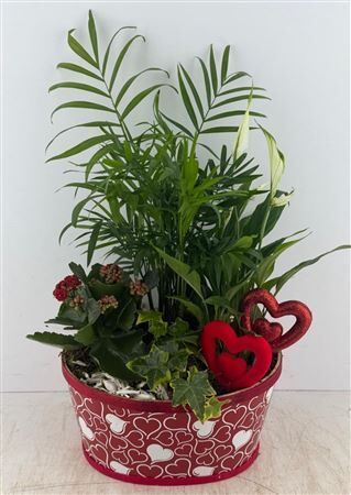 Arr (4) Hout Wit Met Hart Xxl