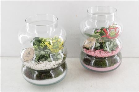 Arr2 Pl Ring Vaas - Roze/wit