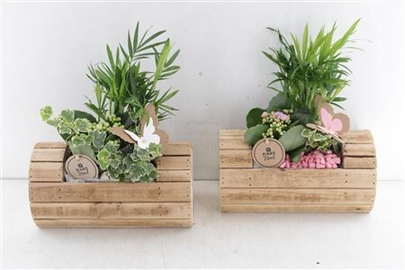 Arr2 Pl Houten Vat Liggend - Roze/w