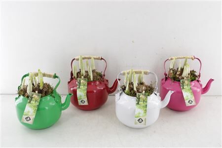 Arr4 Narcis Js21041 - Zink Theepot