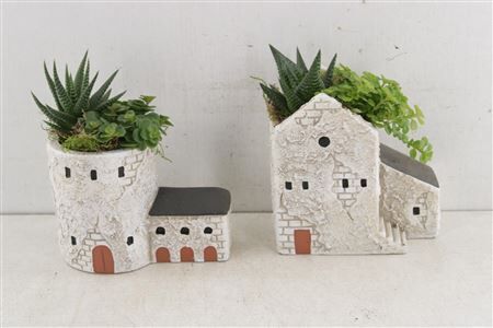 Arr3 Sn Casa De La Torre Plant Mix