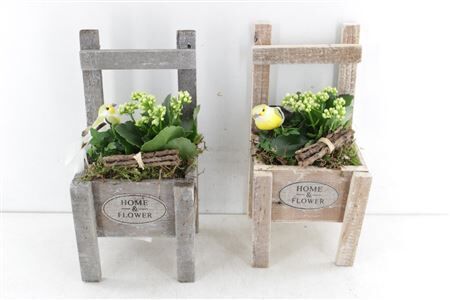 Arr2 Td Waterput - Mix