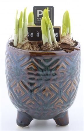 Arr Tete A Tete Keramiek