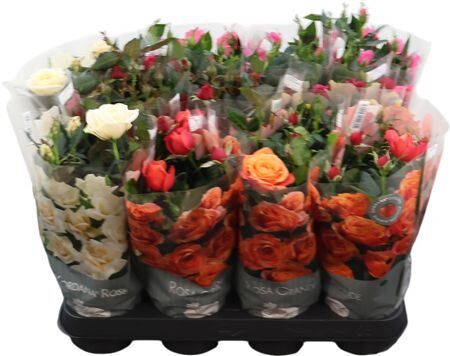 Ro Kordana Gemengd 5srt