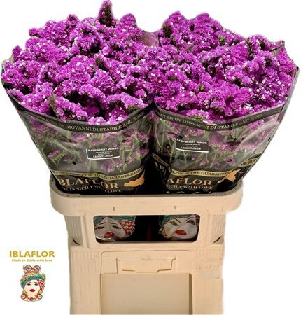 Lim S Raspberry Wings