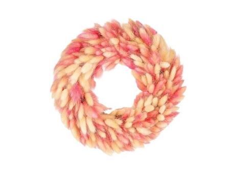 Wr Lagurus Pink White D30